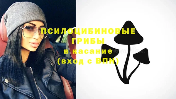 дживик Аркадак
