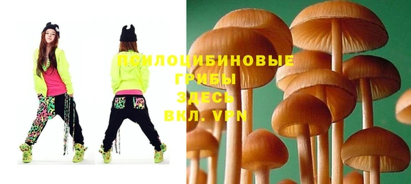 бутират Арсеньев