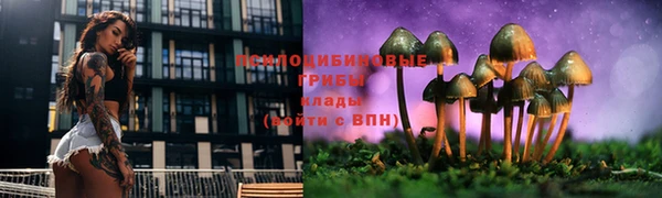 дживик Аркадак