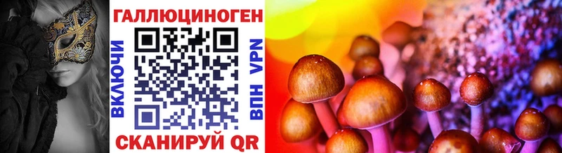 Галлюциногенные грибы GOLDEN TEACHER  купить наркоту  МЕГА маркетплейс  Избербаш 